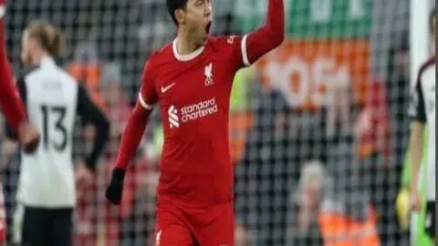 皇冠体育app下载